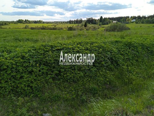 Продам участок 802,3 соток, Фермерское хоз., Нива п, 190 км от города