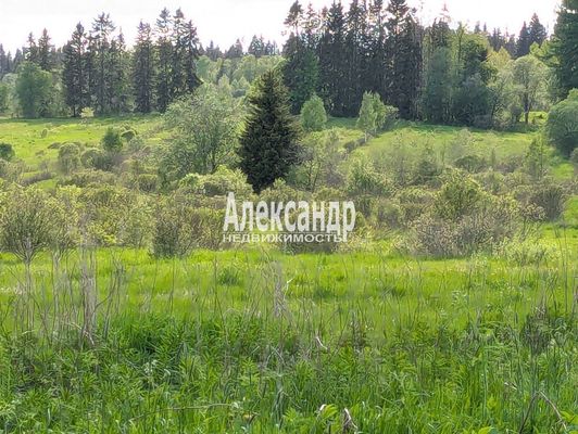 Продам участок 802,3 соток, Фермерское хоз., Нива п, 190 км от города