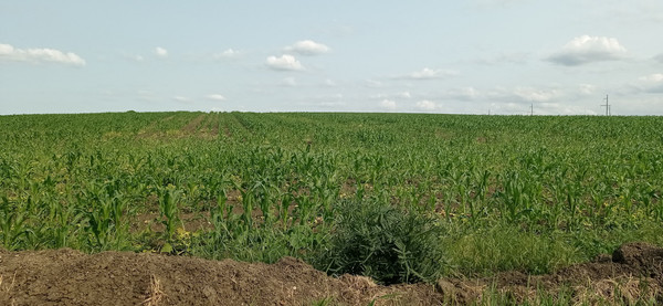 Продам дом, Комсомольская ул, 1Б, Адагум х, 0 км от города