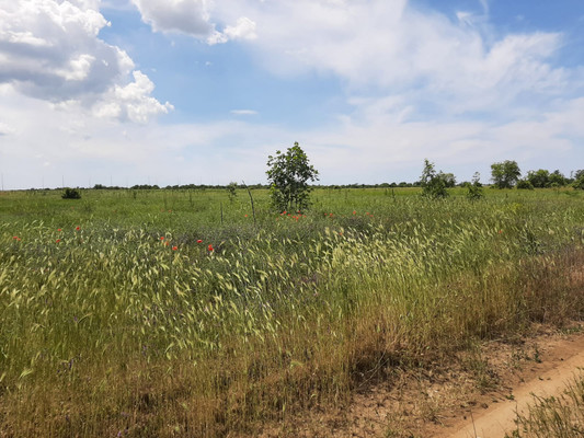 Продам землю для коммерческого использования 200 соток, Фермерское хоз., Роз ул, Витязево с