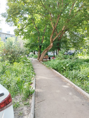 Продам двухкомнатную (2-комн.) квартиру, Красная ул, 5а, Пенза г
