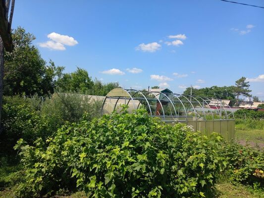 Продам участок 6 соток, ИЖС, Ложок тер. СНТ, Новосибирск г, 1 км от города