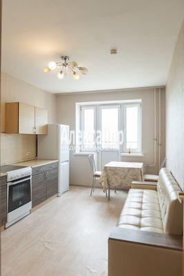 Продам однокомнатную (1-комн.) квартиру, Михаила Дудина ул, 23к1, Парголово п