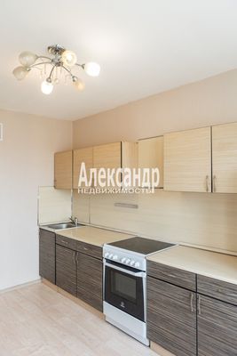 Продам однокомнатную (1-комн.) квартиру, Михаила Дудина ул, 23к1, Парголово п