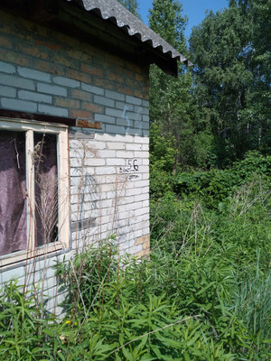 Продам дачу, ДОС ул, Пенза г, 0 км от города