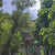 Продам трехкомнатную (3-комн.) квартиру, Трофимова ул, 24к1, Москва г