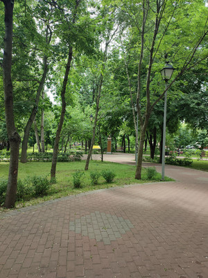 Продам трехкомнатную (3-комн.) квартиру, Трофимова ул, 24к1, Москва г