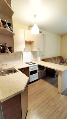Продам однокомнатную (1-комн.) квартиру, Стрижи мкр, 11, Новосибирск г