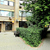 Продам трехкомнатную (3-комн.) квартиру, Лесной 2-й пер, 10, Москва г