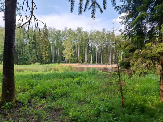 Продам участок 23 соток, Садоводство, ДНП Большая вода тер, Лыщёво д, 0 км от города