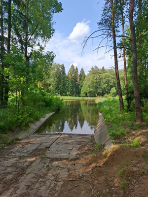 Продам участок 11,5 соток, Садоводство, ДНП Большая вода тер, Лыщёво д, 0 км от города