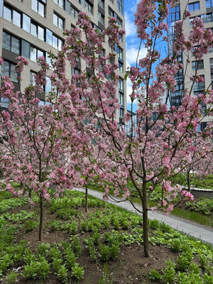 Продам двухкомнатную (2-комн.) квартиру, Василия Ланового ул, 3, Москва г