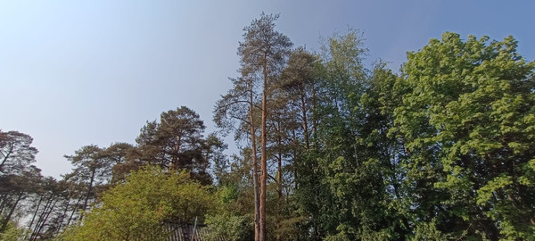 Продам дом, Песочная ул, 17, Высокоключевой п, 0 км от города