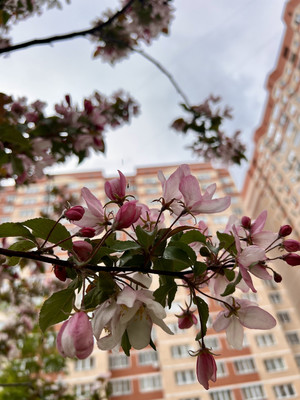 Продам двухкомнатную (2-комн.) квартиру, Академическая пл, 3, Троицк г