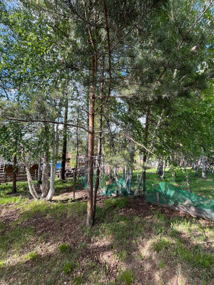 Продам участок 5,96 соток, ИЖС, Рождественская (Лесной мкр.) ул, Иркутск г, 0 км от города