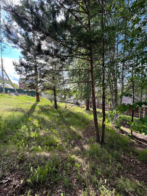 Продам участок 5,96 соток, ИЖС, Рождественская (Лесной мкр.) ул, Иркутск г, 0 км от города