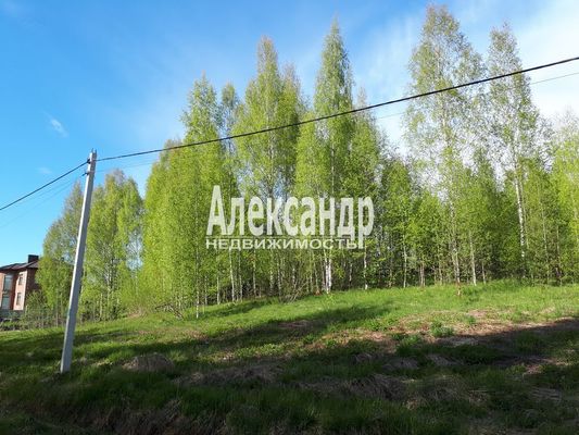 Продам участок 17 соток, ИЖС, Колтуши д, 11 км от города