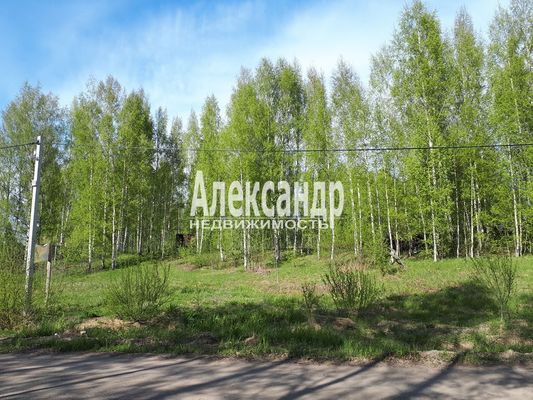 Продам участок 17 соток, ИЖС, Колтуши д, 11 км от города