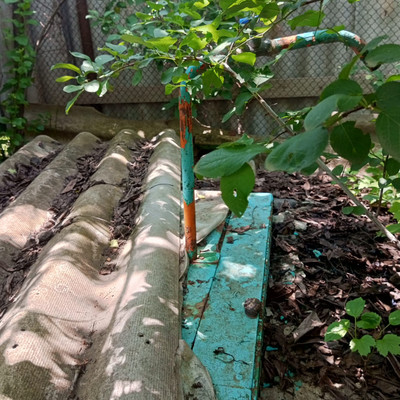 Продам дом, Центральная (Машиностроитель тер. СНТ) ул, 4, Майкоп г, 0 км от города