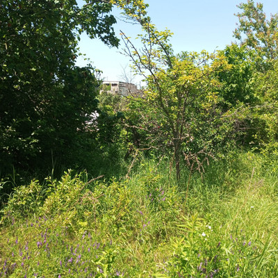 Продам дом, Центральная (Машиностроитель тер. СНТ) ул, 4, Майкоп г, 0 км от города