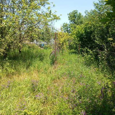 Продам дом, Центральная (Машиностроитель тер. СНТ) ул, 4, Майкоп г, 0 км от города