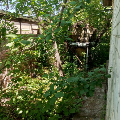 Продам дом, Центральная (Машиностроитель тер. СНТ) ул, 4, Майкоп г, 0 км от города