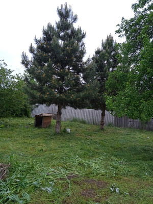 Продам дом, Калинина ул, Еленовское с, 0 км от города