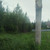 Продам участок 34 соток, ИЖС, Кузнецово д, 0 км от города