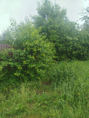 Продам участок 34 соток, ИЖС, Кузнецово д, 0 км от города