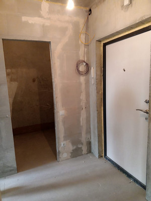 Продам однокомнатную (1-комн.) квартиру, Центральная ул, 18, Новоселье гп