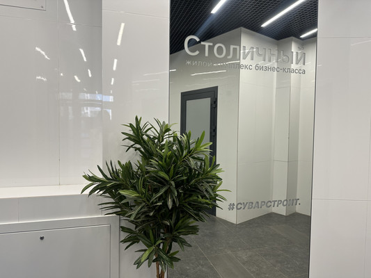 Продам трехкомнатную (3-комн.) квартиру, Чистопольская ул, 86/10, Казань г