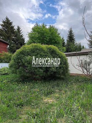 Продам дачу в поселке Грузино-6, 4-я Линия (Заря тер. СНТ) ул, Грузино массив, 35 км от города