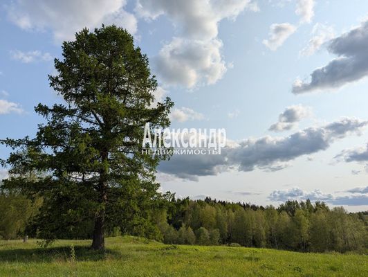 Продам участок 780 соток, ЛПХ, Нива п, 180 км от города