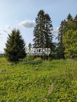 Продам участок 780 соток, ЛПХ, Нива п, 180 км от города