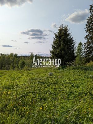 Продам участок 780 соток, ЛПХ, Нива п, 180 км от города