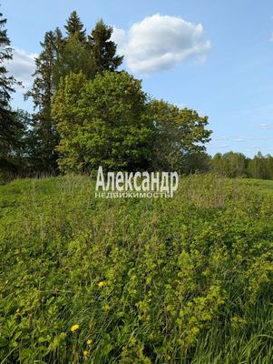 Продам участок 780 соток, ЛПХ, Нива п, 180 км от города