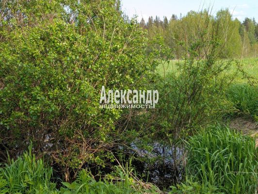 Продам участок 780 соток, ЛПХ, Нива п, 180 км от города