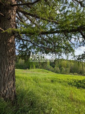 Продам участок 780 соток, ЛПХ, Нива п, 180 км от города