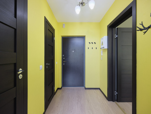 Продам однокомнатную (1-комн.) квартиру, Энергетиков пр-кт, 9к1, Санкт-Петербург г