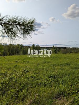 Продам участок 780 соток, ЛПХ, Нива п, 180 км от города