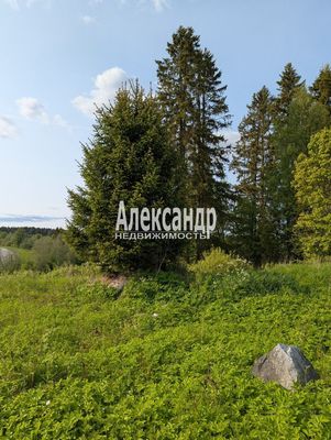 Продам участок 780 соток, ЛПХ, Нива п, 180 км от города