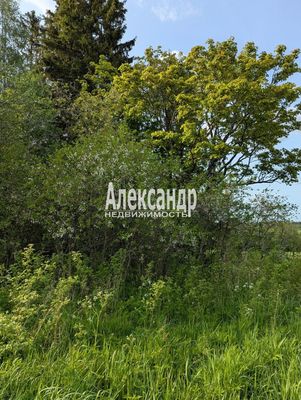 Продам участок 780 соток, ЛПХ, Нива п, 180 км от города