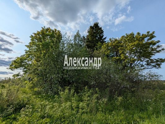 Продам участок 780 соток, ЛПХ, Нива п, 180 км от города