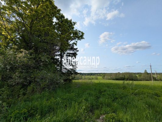 Продам участок 780 соток, ЛПХ, Нива п, 180 км от города