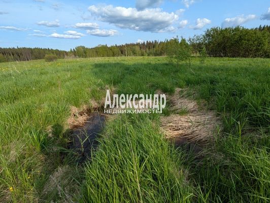 Продам участок 780 соток, ЛПХ, Нива п, 180 км от города