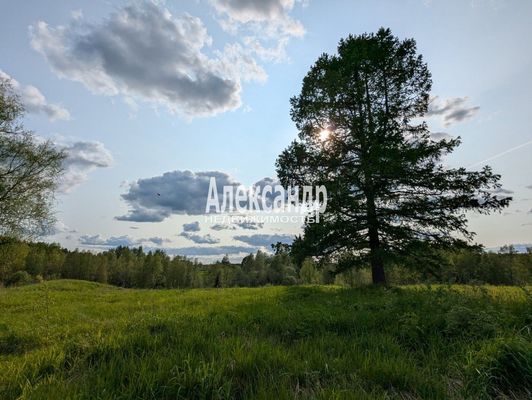 Продам участок 780 соток, ЛПХ, Нива п, 180 км от города