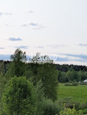 Продам участок 780 соток, ЛПХ, Нива п, 180 км от города