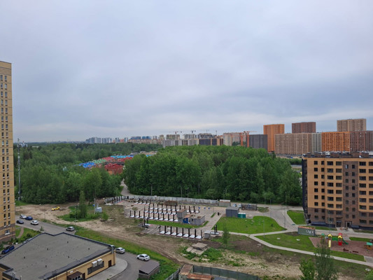 Продам трехкомнатную (3-комн.) квартиру, Озерная ул, 8, Новое Девяткино д