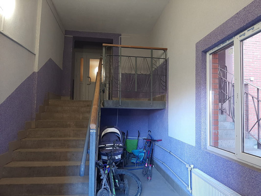 Продам трехкомнатную (3-комн.) квартиру, Озерная ул, 8, Новое Девяткино д