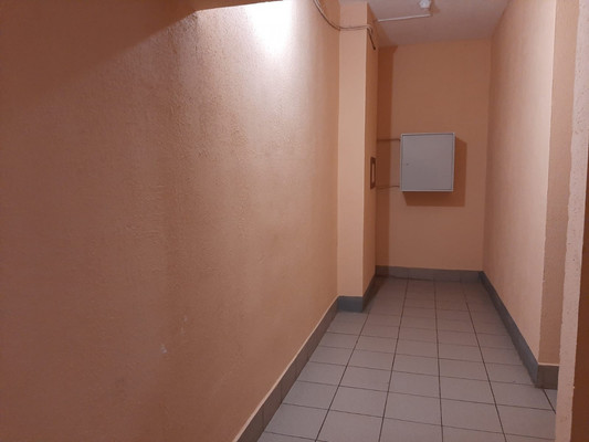 Продам трехкомнатную (3-комн.) квартиру, Озерная ул, 8, Новое Девяткино д